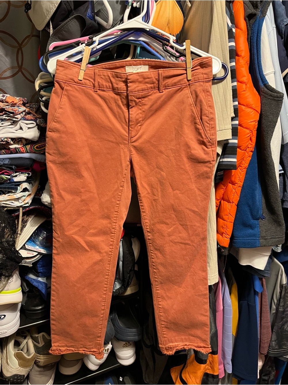 LOFT Cropped Pants in Rust Orange